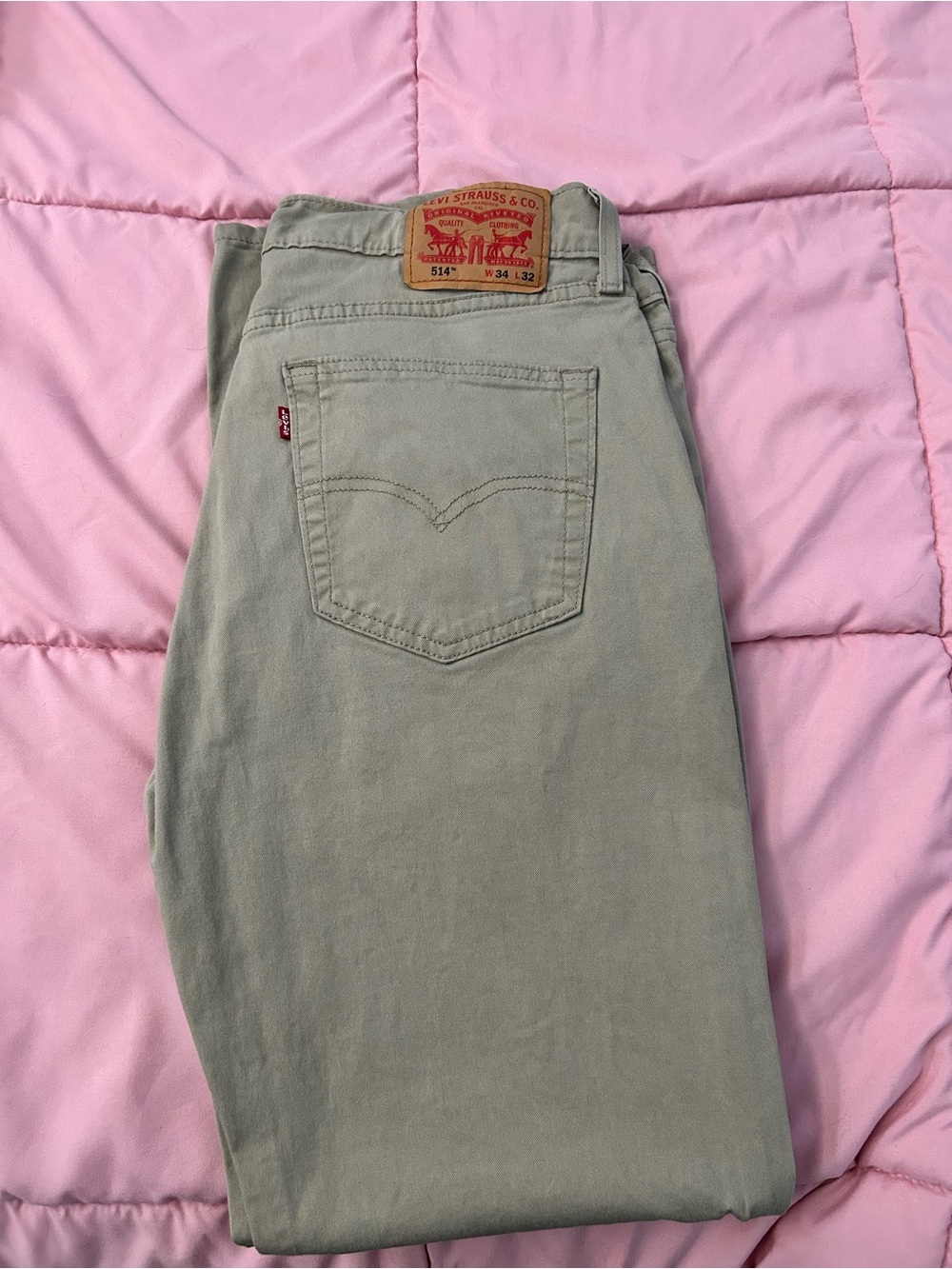 Levi's Straight Men's Jeans in Light Olive Green
